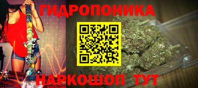 сатива Волжский